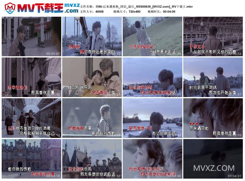胡66-后来遇见他_国语_流行_ME600639
